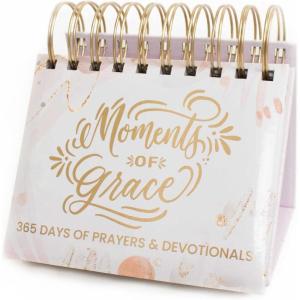 image:imagebloom daily planners Undated Perpetual Desk EaselInspirational Standing Flip Calendar  525 x 55 The Best is Yet to ComeMoments of Grace